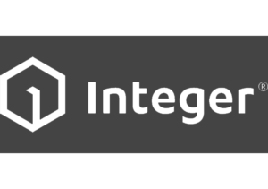 Integer Grey Sized Logo - Copy